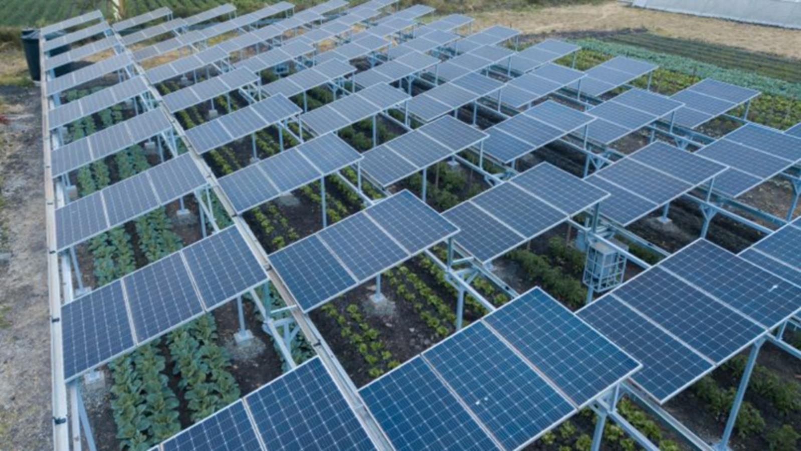 Kenya is testing solar panels to generate energy and assist in agriculture