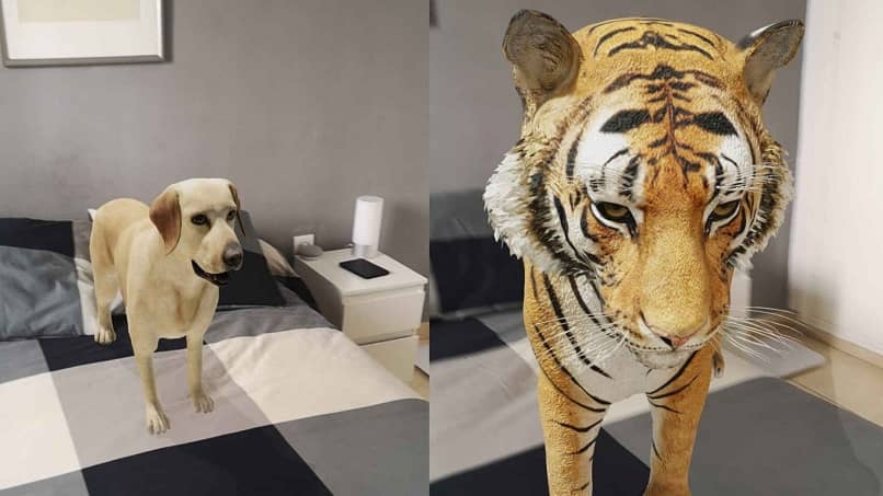 animals like tiger in google augmented reality