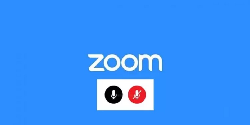 enable zoom noise cancellation