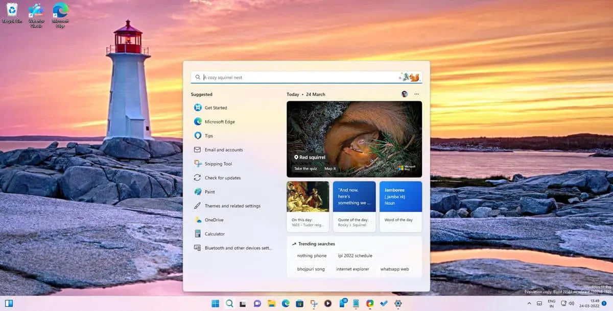 Windows 11 Search Highlights