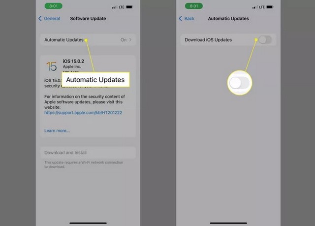 Disable automatic updates