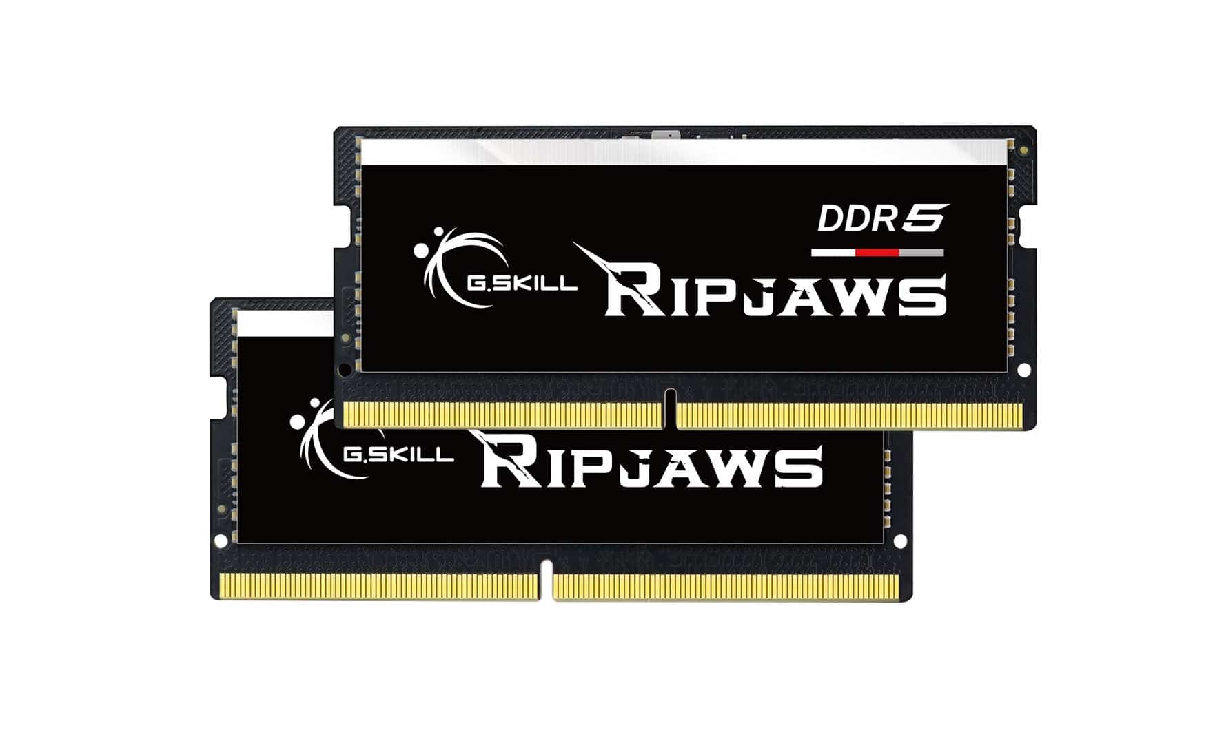 New DDR5 for laptops.  G.SKILL showed the Ripjaws DDR5 kits