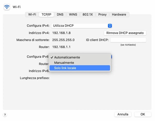 Configure Ipv6 Local Link Only