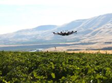 A new way to protect crops from birds has been developed.  It will include autonomous drones