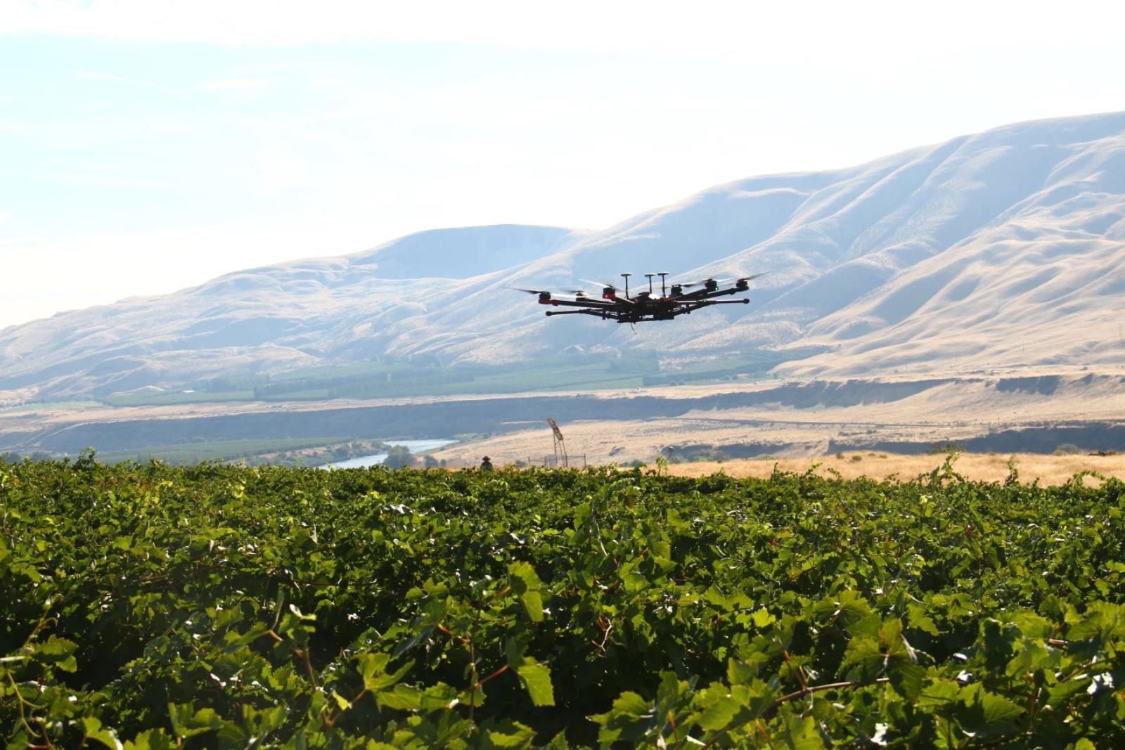 A new way to protect crops from birds has been developed.  It will include autonomous drones