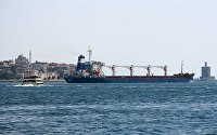 Dry cargo ship Razoni with Ukrainian grain in Istanbul